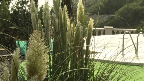 Landscape design of the pool Stock Footage 88670969