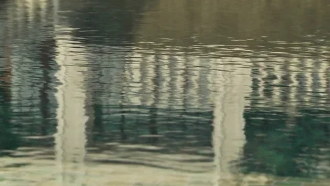 Landscape design of the pool Stock Footage 88671511