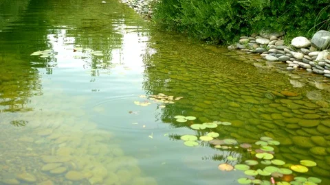 Landscape design. River in the park with beautiful trees along the banks Stock Footage 113299247