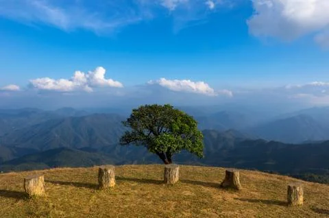 Landscape of Doi Pui Co. Stock Photos