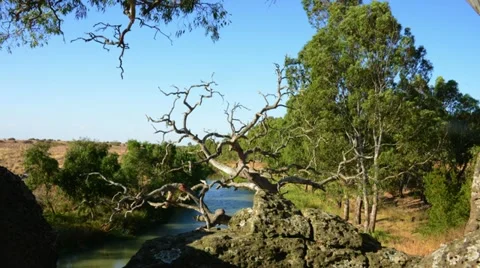 Landscape dolly Stock Footage 20541406