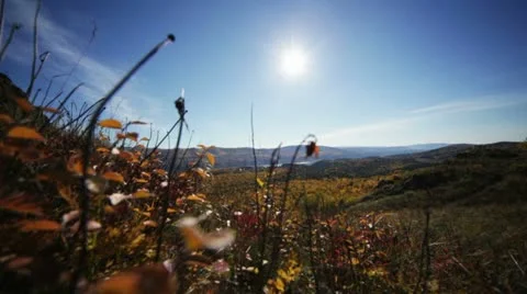 Landscape, dolly shot Stock Footage 12213573