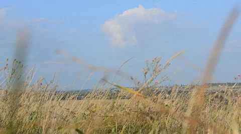 Landscape dolly shot Vídeos de archivo 27499882