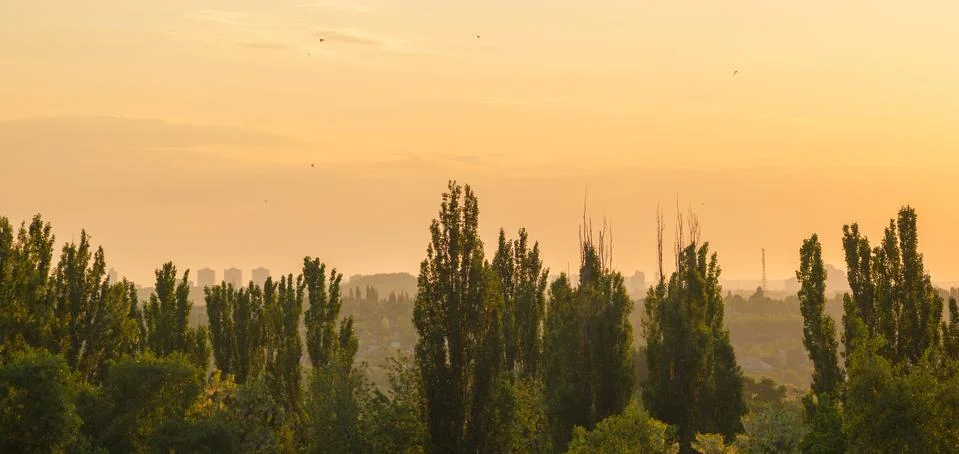 Landscape with dramatic light Stock Photos
