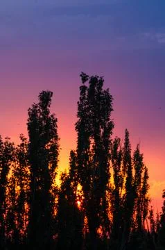 Landscape with dramatic light Stock Photos