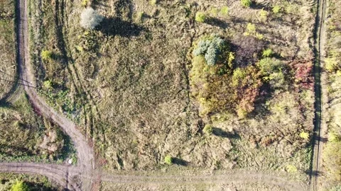 Landscape from drone (Quadcopter). Fields of farm. Video stock 139047453