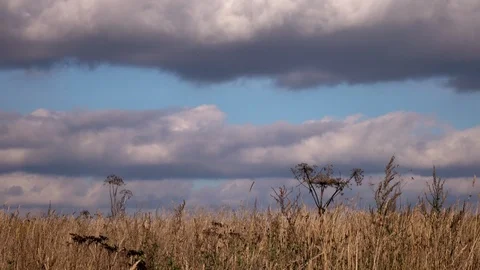 Landscape with dry grass on the wind and fast moving clouds. Great 4K time lapse Stock Footage 97168770