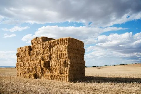 Landscape with a dry haystack with blue sky and some clouds Stock Photos