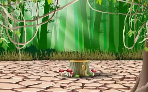 Landscape of dry river in the forest Stock Illustration