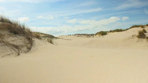 Landscape of dunes Stock Footage 79210079