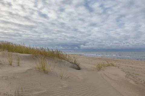 Landscape in the dunes Stock Photos