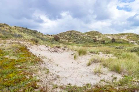 Landscape with dunes under a clouded sky, national park Meijendel Stock Photos