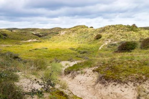 Landscape with dunes under a clouded sky, national park Meijendel Stock Photos