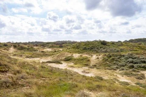 Landscape with dunes under a clouded sky, national park Meijendel Stock Photos