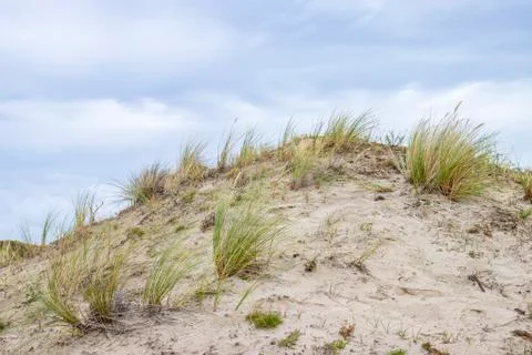 Landscape with dunes under a clouded sky, national park Meijendel Stock Photos
