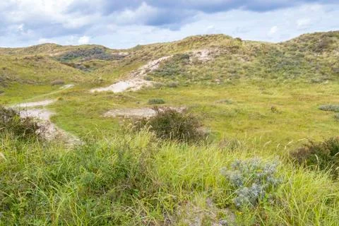 Landscape with dunes under a clouded sky, national park Meijendel Stock Photos
