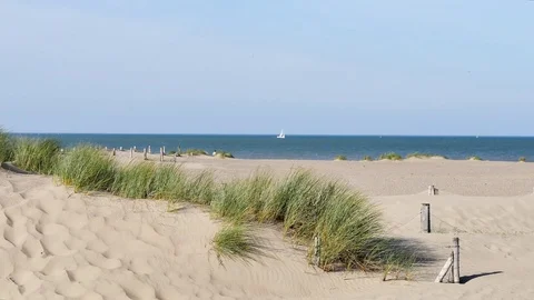 Landscape of the dunkirk beach. Stock Footage 98159231