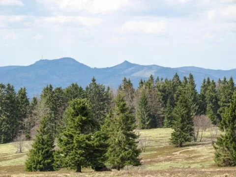 Landscape during spring in the vosges Stock Photos