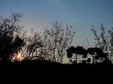 Landscape at dusk. Stock Photos