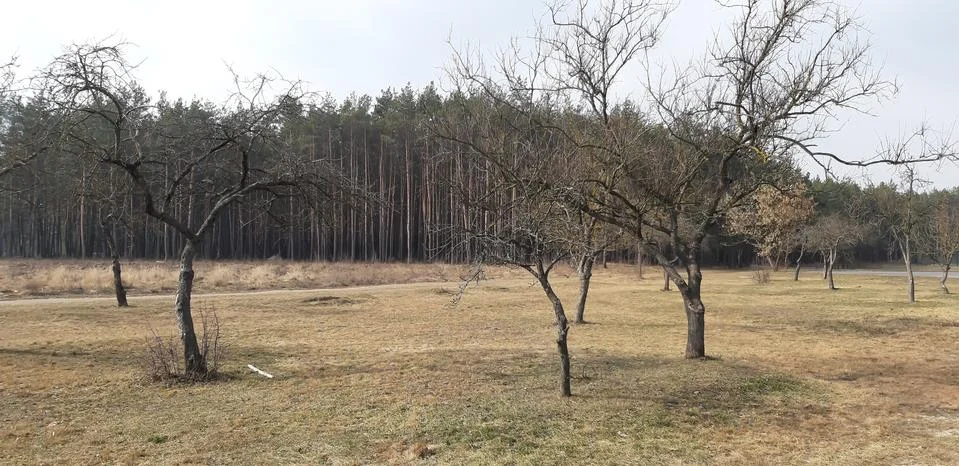 Landscape in early spring Stock Photos