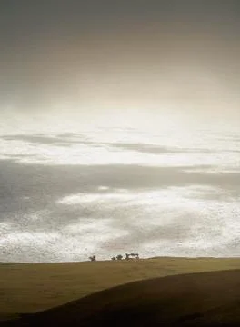 Landscape of Easter Island, Chile Stock Photos