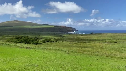 Landscape in Easter Island 動画素材 342838705