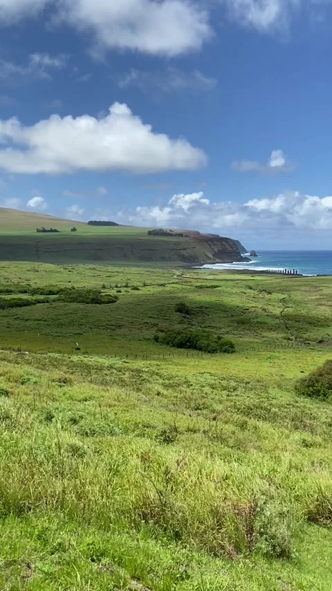 Landscape in Easter Island Vídeo Stock 342838723