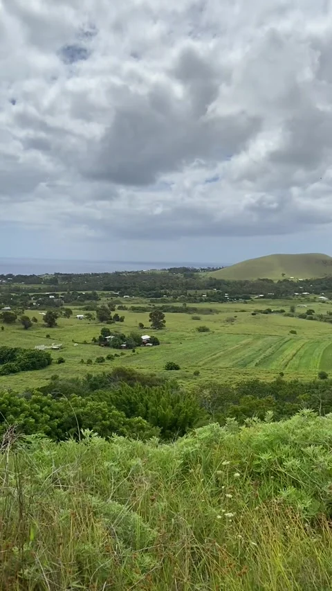 Landscape in Easter Island Видео 342841045