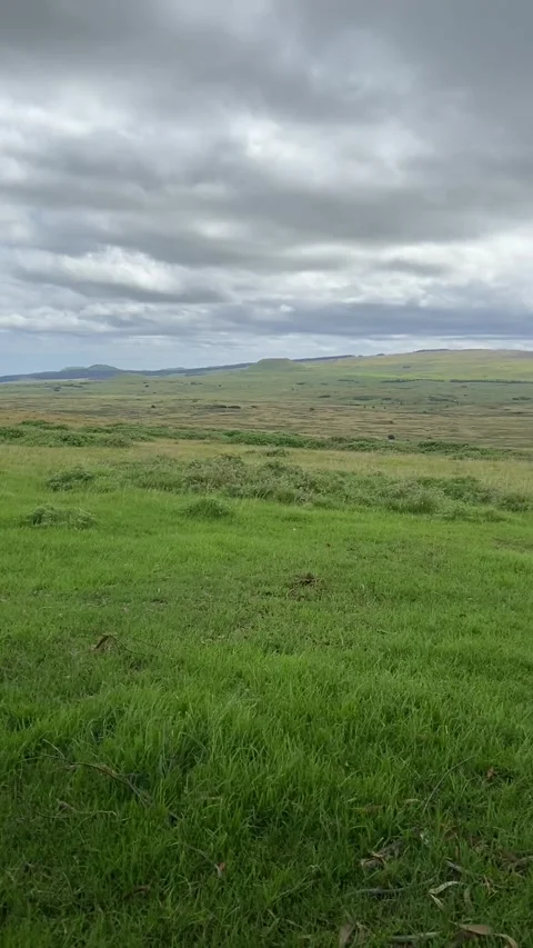 Landscape in Easter Island Stock Footage 342841711
