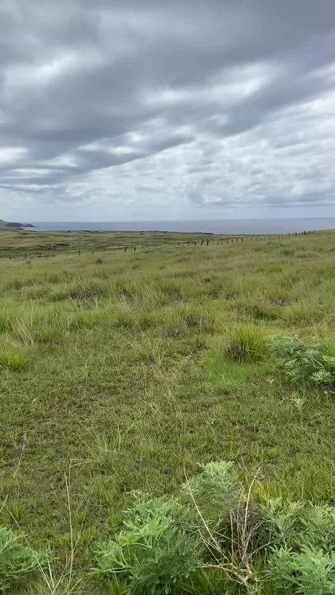Landscape in Easter Island 動画素材 342841742