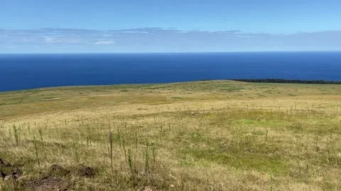 Landscape in Easter Island Vídeo Stock 342841929