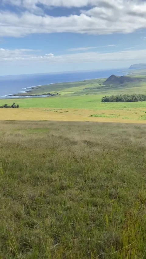 Landscape in Easter Island Video stock 342841981