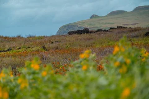 Landscape of Easter Island or Rapa Nui in Chile Stock Photos