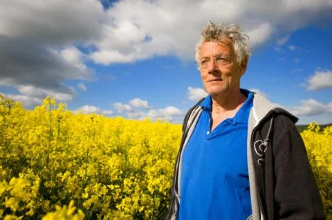 Landscape with elderly man in cole seed Foto stock