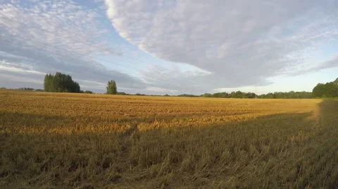 Landscape with electric pylon, time lapse 4k Stock Footage 68073966