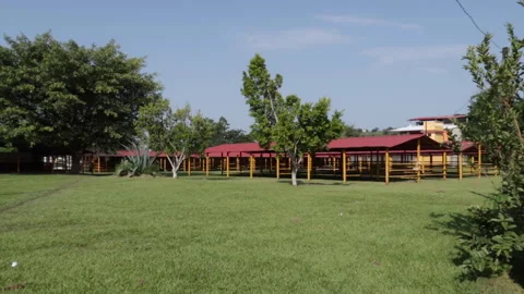 Landscape of empty barns with cut grass, trees and clear blue sky Stock Footage 183734194