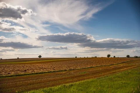 A landscape of empty fields after the harvest, at sunset 写真素材
