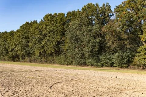 Landscape with empty fields in front of forest during sunny day in autumn Stock Photos