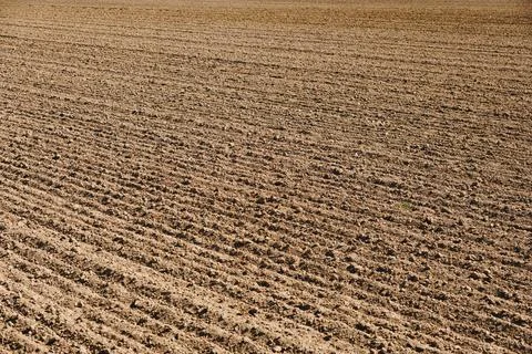 Landscape with an empty plowed field at the end of summer Foto stock