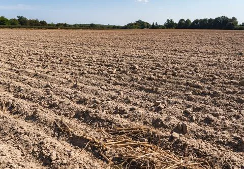 Landscape with an empty plowed field at the end of summer Stock Photos