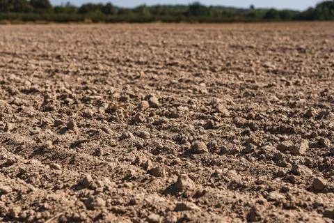 Landscape with an empty plowed field at the end of summer Foto stock