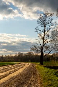 Landscape with empty rural road. Stock Photos
