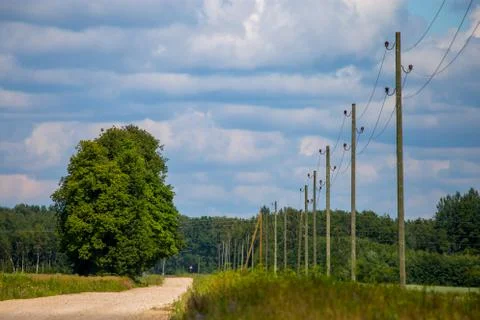 Landscape with empty rural road. Stock Photos