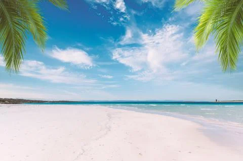 Landscape of empty tropical beach Stock Photos