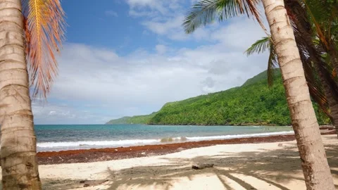 Landscape of an empty tropical white sand beach and turquoise ocean. Video stock 241551931