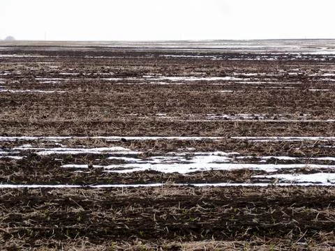 Landscape at the end of winter Stock Photos