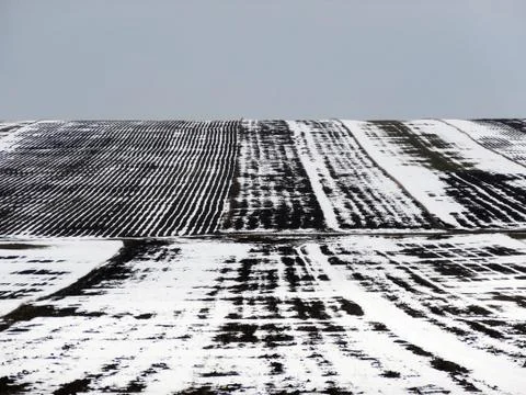 Landscape at the end of winter Foto stock