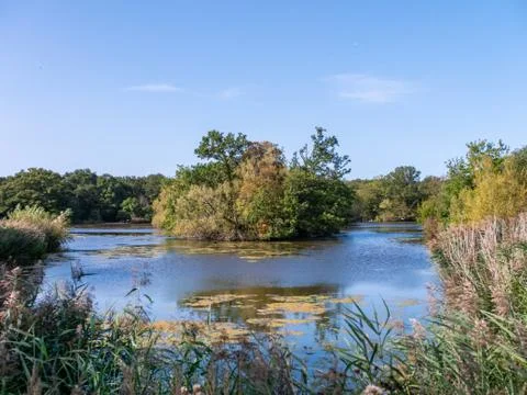 Landscape of Epping forest lake Stock Photos