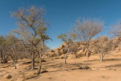 The landscape of the Erongo Mountains in Namibia Stock Photos