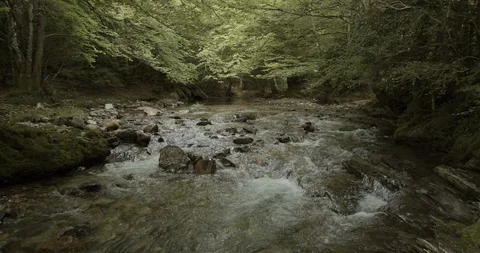 Landscape of Erro river , Sorogain forest in Erro Valley, Pyrenees of Navarra Stock Footage 129461990